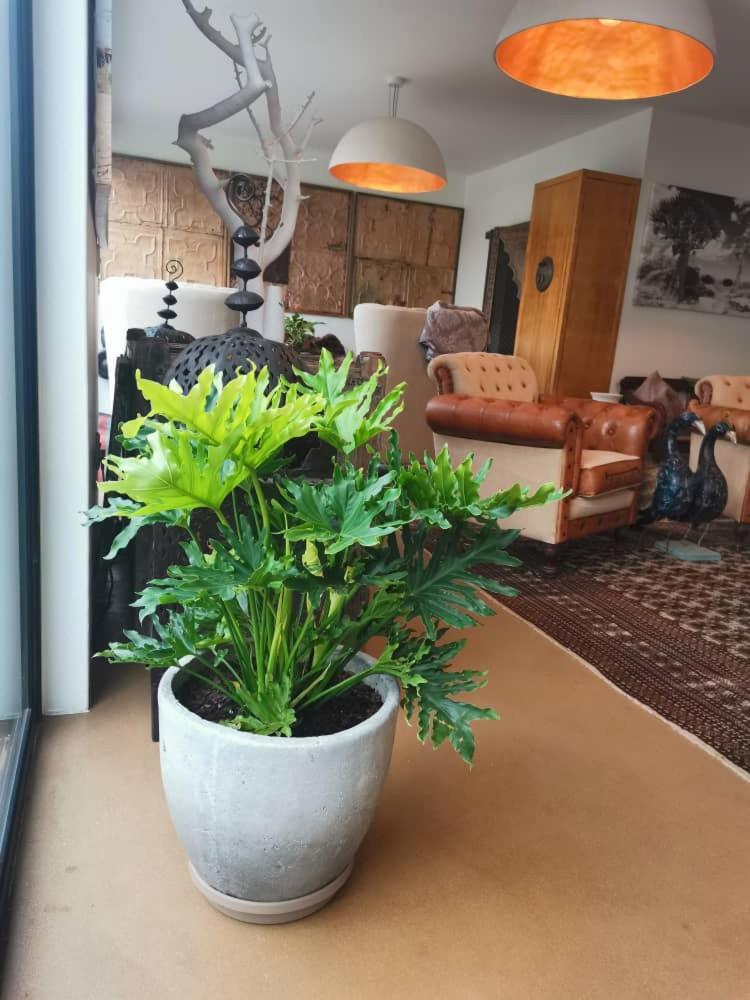 The Rez Guesthouse Walvis Bay Luaran gambar